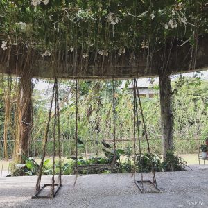 abby's garden resort taal batangas