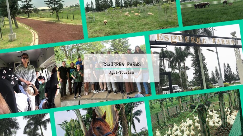 esguerra farms tour